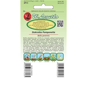 Stokrotka pospolita Pompnette mieszanka 0,1g
