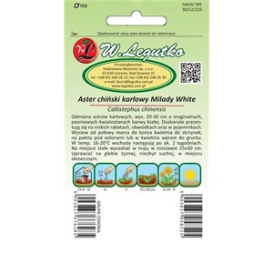 Aster chiński karłowy Milady Ballad biały 1g