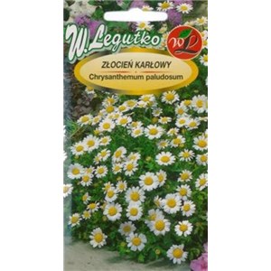 Złocień karłowy biały 0,2g
