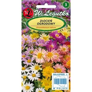 Złocień ogrodowy mieszanka pełny 0,05g
