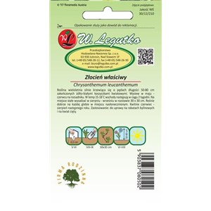 Złocień właściwy biały 1g
