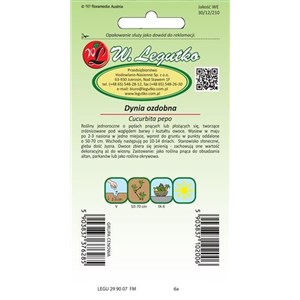 Dynia zwyczajna ozdobna mieszanka drobnoowocowa 2+1g