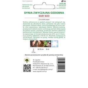 Dynia zwyczajna ozdobna Baby Boo 1g