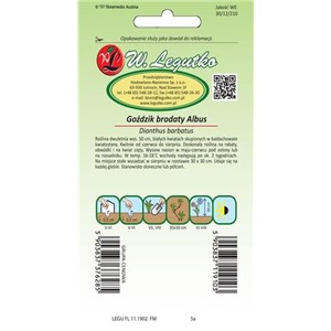 Goździk brodaty wysoki Albus biały pojedynczy  0,5g