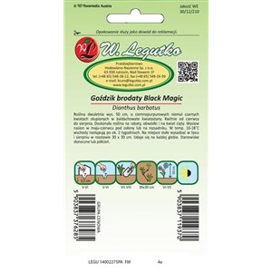 Goździk brodaty wysoki Black Magic czerwony pojedynczy 0,5g