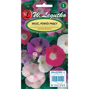 Wilec Powój pnący mieszanka 5g