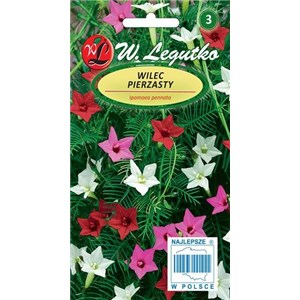 Wilec pierzasty mieszanka 1g
