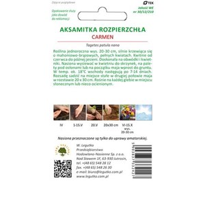 Aksamitka rozpierzchła pełna Carmen mahoniowo-czerwona 1,5g