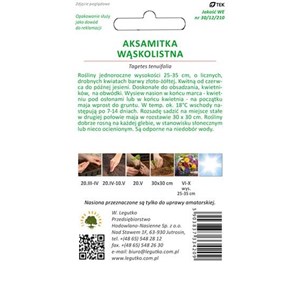 Aksamitka wąskolistna Golden Gem złoto-żółta 0,3g