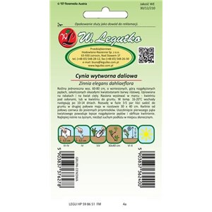 Cynia wytworna daliowa Illumination różowa 1g