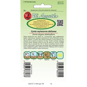 Cynia wytworna daliowa Violet Queen fioletowa 1g