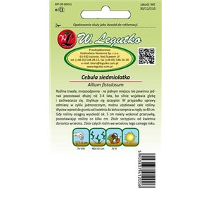 Cebula siedmiolatka Winter Nest 2g