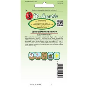 Dynia olbrzymia Bambino 3g + 1g
