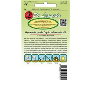 Dynia olbrzymia Otylia F1  3+1g
