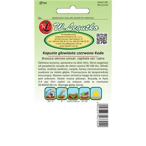 Kapusta głowiasta czerwona Koda 2g
