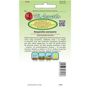 Roszponka warzywna Verte de Cambrai 2g