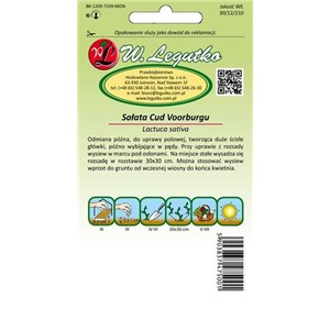 Sałata Cud Voorburgu 1g