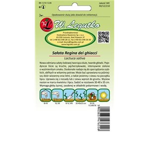 Sałata Regina Dei ghiacci 1g lodowa