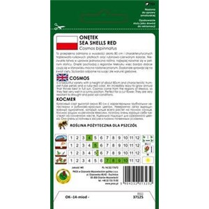 Onętek Sea Shelles Red 0,5 g