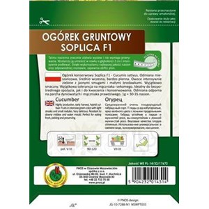 Ogórek gruntowy Soplica 6m na taśmie