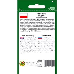 Poziomka Regina 0,5g