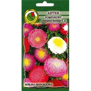 Aster chiński pomponowy mieszanka 0,8g