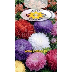 Aster chiński peoniowy mieszanka 1g