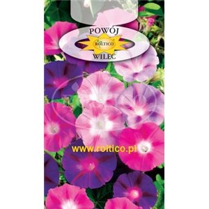 Wilec, Powój pnący mieszanka 3 g