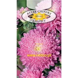 Aster chiński książęcy różowy 1g