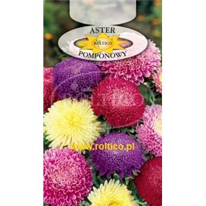 Aster chiński pomponowy mieszanka 1g