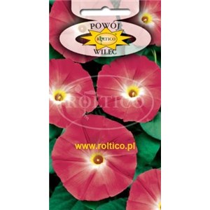 Wilec czerwony  2g