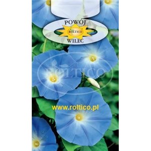 Wilec, Powój pnący niebieski 2 g