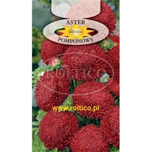 Aster chiński pomponowy czerwony 1g